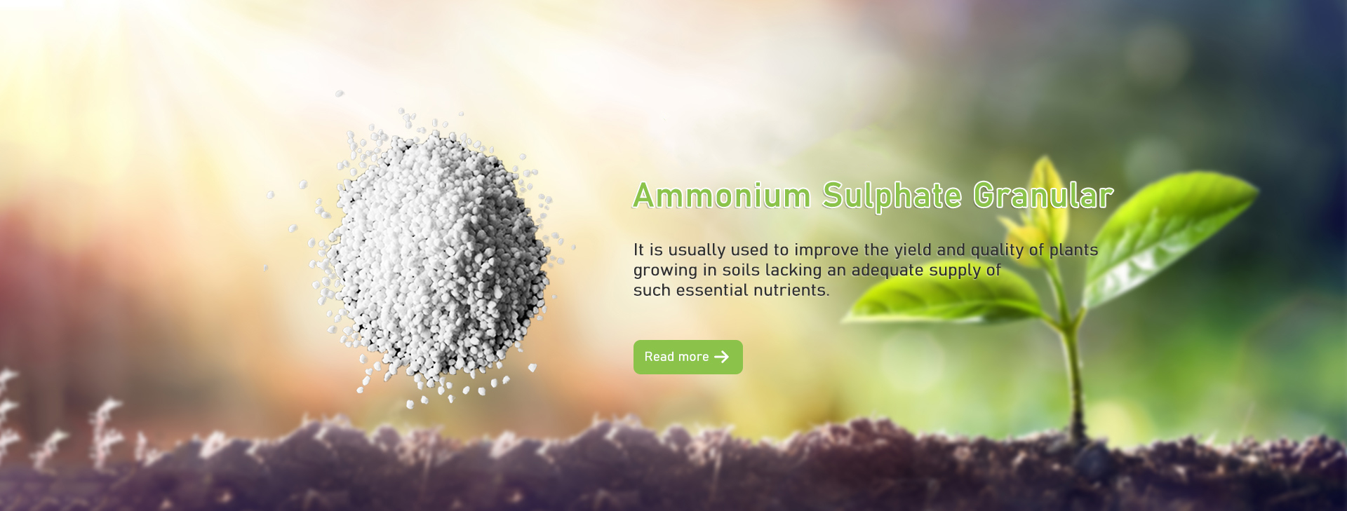 硫酸アンモニウム