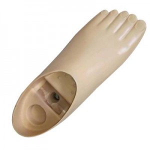 Adult Polyurethane  Foot-Lower Limbs Parts