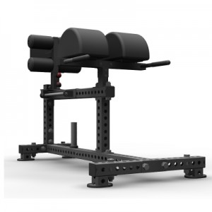 Gym စက်ပစ္စည်း ရောမထိုင်ခုံ Glute developer Hip Back Extension Sit-Ups Mucle Up GHD Glute