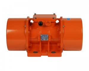 Tipu standard AC Trifase 8 Poli Vibration Motor