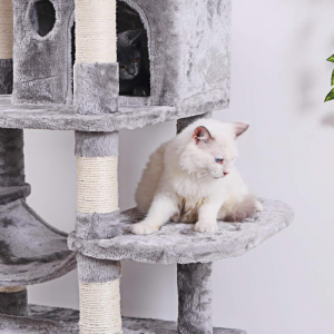 Cat Tree Cat Towers Cat Condo