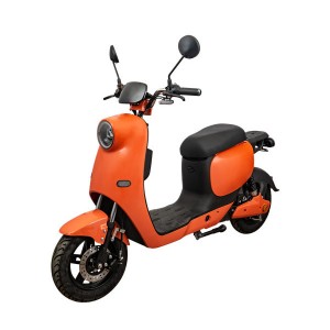 Good Wholesale Vendors 60v Electric Scooter - G03 – Qianxin