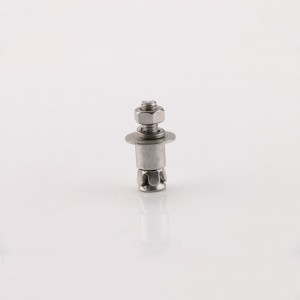 Stainless Steel Back Bolt DIN Leading Chinese Supplier Exporter