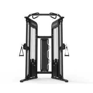 Professional Design Basic Squat Rack - FT31-Functional Trainer Machine – Kingdom