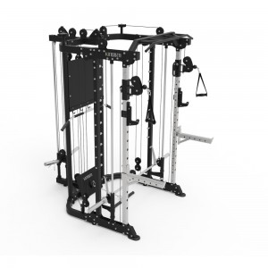 FT41 -Plate Loaded Functional Smith/All In One Smith Machine Combo
