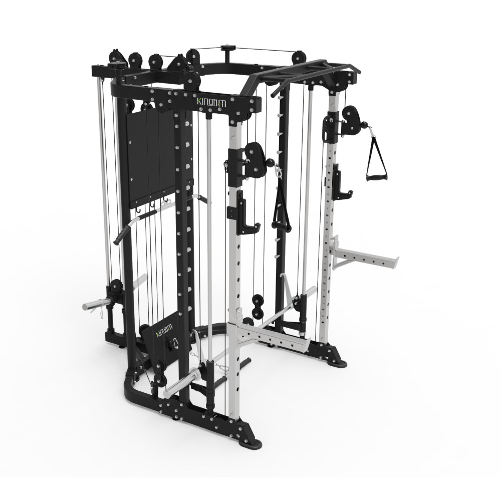 FT41 – Pladefyldt Funktionel Smith/All In One Smith Machine Combo Udvalgt billede