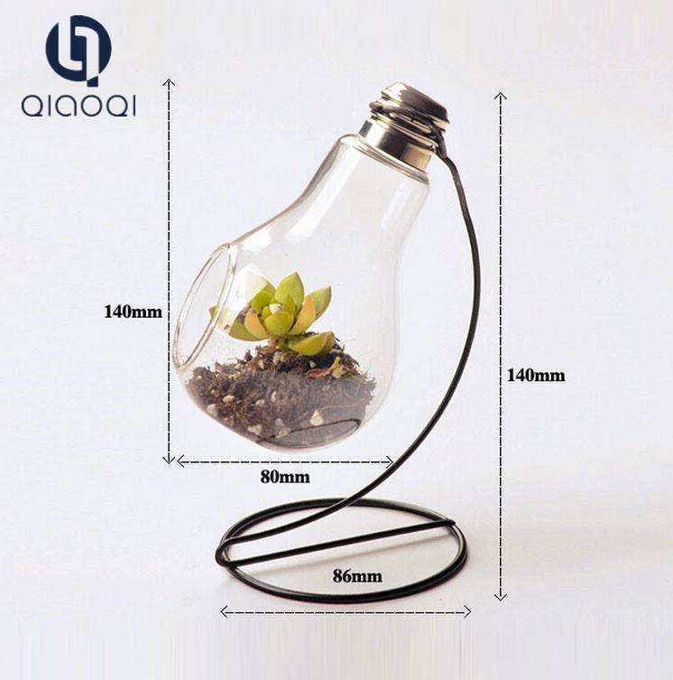clear bulb glass vase with holder