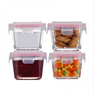 Kids Mini High Borosilicate Glass Baby Food Containers with Lids Leak Proof Kids Small Cute Glass Lunch Box Kids Bento Box