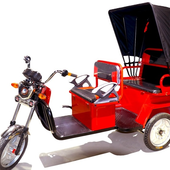 Asian Casual Design Auto Rickshaw Hot Selling Electric Rickshaw Low Maintenance Electric Tricycle Rickshaw For Passenger