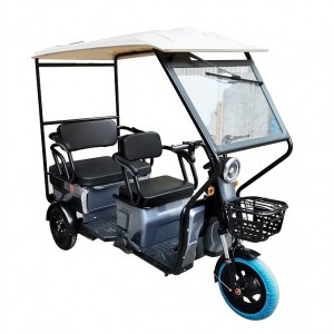 48v 800w Mini Metro e rickshaw With roof Family use electric auto rickshaw picnic three wheel motorcycle vehicle