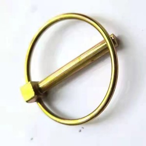 Pasadores circulares galvanizados fabricados en China