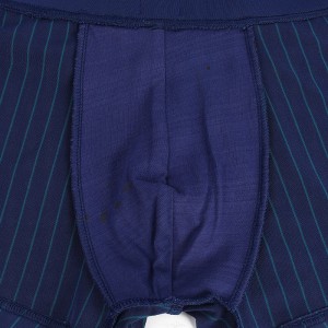 Pánské pohodlné boxerky Sportovní šortky Boxer Spodní prádlo 2