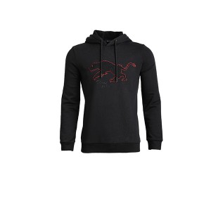wholesale OEM Oversized Sweatshirt Factory –  100% cotton wholesale winter quality warm hoodies pullover sportswear for men women with zipper – Raidyboer