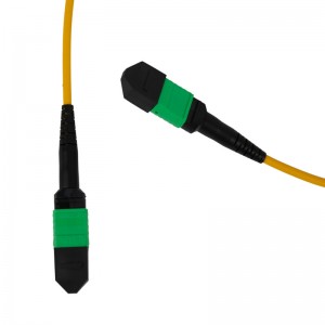 Popular Design for China Fcj Opto MTP Multimode Network Patch Cord and Pigtail Fiber Optic Cable