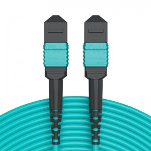 Free sample for China MPO MTP to Sc Breakout Fanout Cable