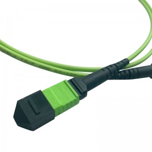 MTP Multimode 50/125 OM5 Optic Patch Cord