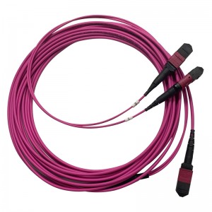 MTP a 2x 12 fibres MTP 24 fibres multimode OM4 50/125 cable de connexió de fibra òptica