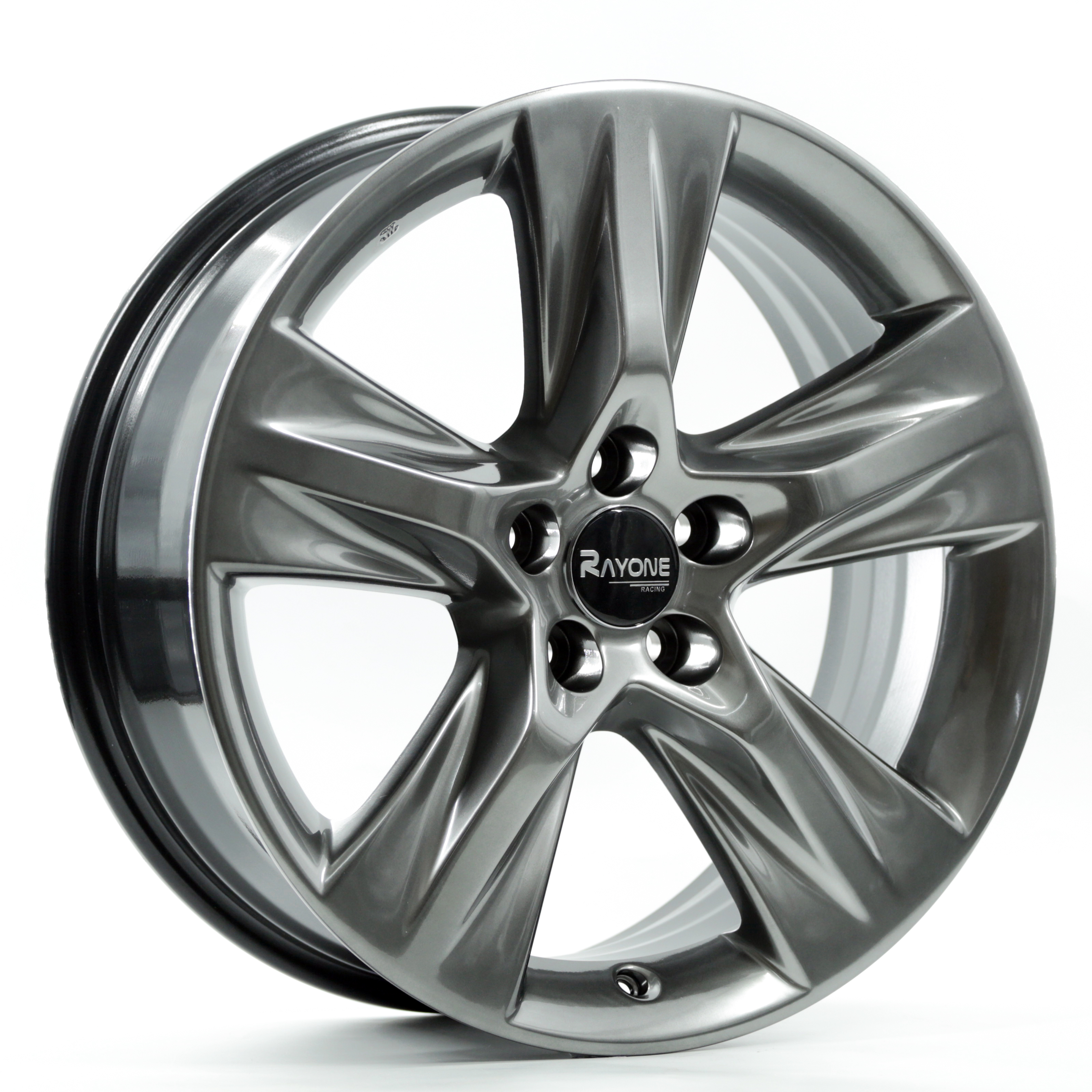 Rayone Wheels Aluminum Alloy Wheels 19inch Light Wheels For HIGHLAND