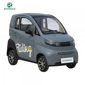 A-520 Raysince Top Sales Electric Mini Car with EEC