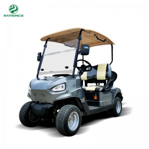 Raysince ultimo modello di golf cart elettrici a due posti