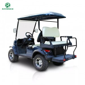 Raysince nyeste modell med to seter elektriske golfbiler