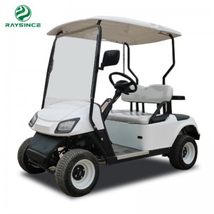 Chariot de golf électrique GCM-1200 avec deux sièges