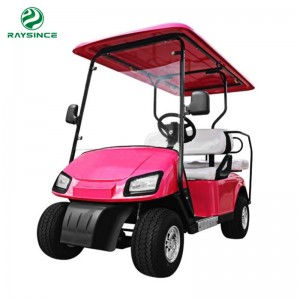 GCM-1200 Electric Golf Cart yokhala ndi Mipando iwiri