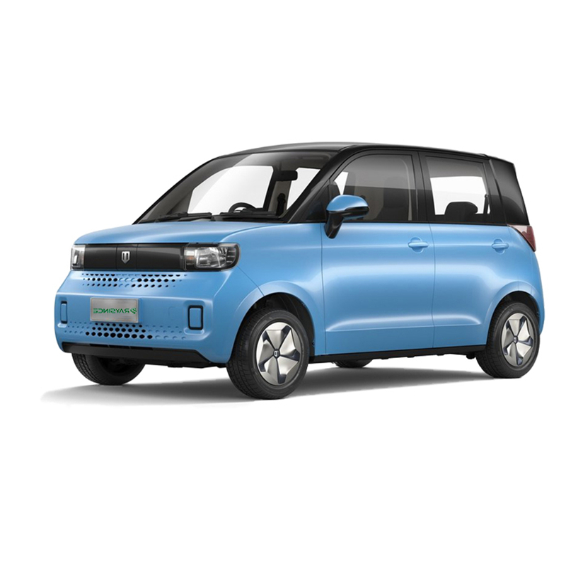 Raysince New Arrivals High Speed Electric Car Comparable to Wuling Mini EV
