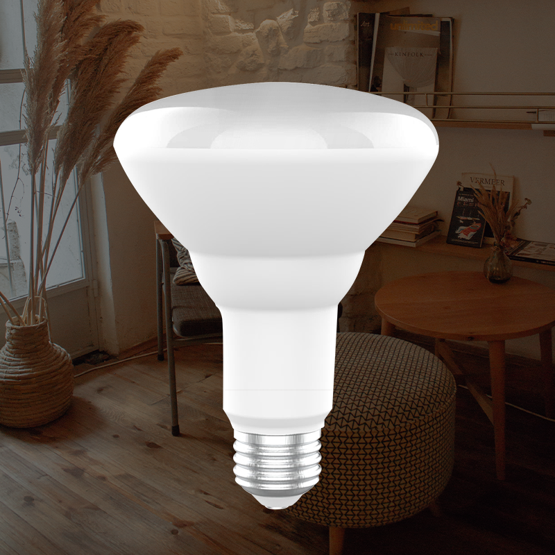 China Wholesale Led Candle Shaped Light Bulbs Manufacturers Suppliers - 110° Beam Angle BR LED Bulb for North America  – Red100
