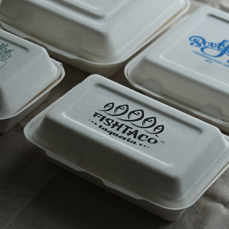 Bagasse Take Away Clamshell Box Featured Image