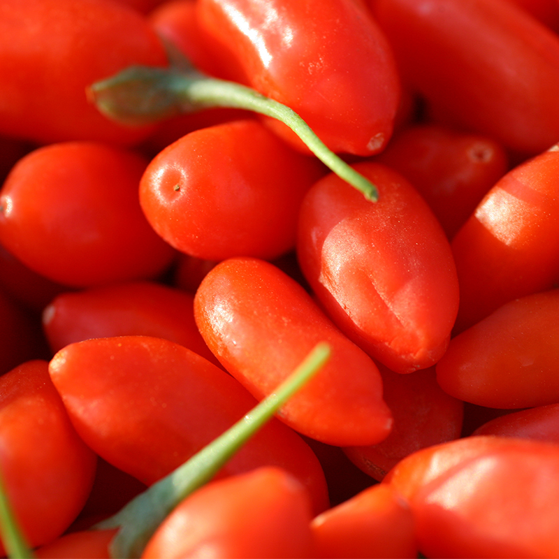 What are the pharmacological properties of black goji berries?