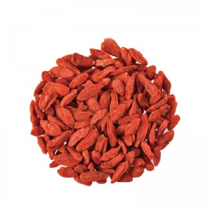 Red Goji Bobice Mini 580 Ningxia Bulk Wolfberry Wholesale