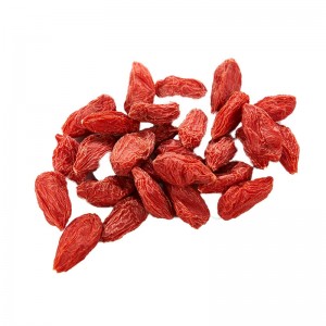 Organic Red Goji Berries Mini 580 Free Fa'ata'ita'iga OEM/ODM Fa'atau A'oa'o