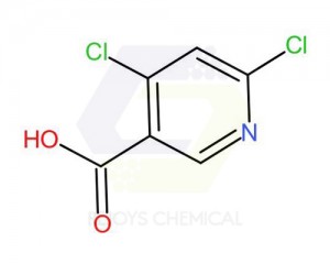 Super Lowest Price 1036260-25-9 - 73027-79-9 | 4,6-Dichloronicotinic acid – Rejoys Chemical
