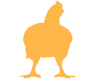 Ayam pedaging