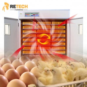 ฟาร์มสัตว์ปีก เครื่องจักรการเกษตร ตู้ฟักไข่ไก่อัตโนมัติ ฟักไข่ได้ 10,000 ฟอง