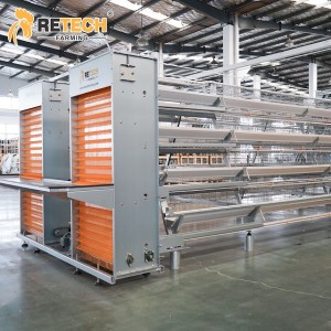 New Design Automatic A Type 4 Tiers 160 Birds Layer Chicken Cages