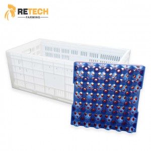 Caja de huevos plegable de plástico PP segura de diseño Retech para transporte