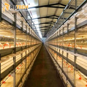 RETECH Automatic H Type Poultry Farm Broiler Chicken Cage