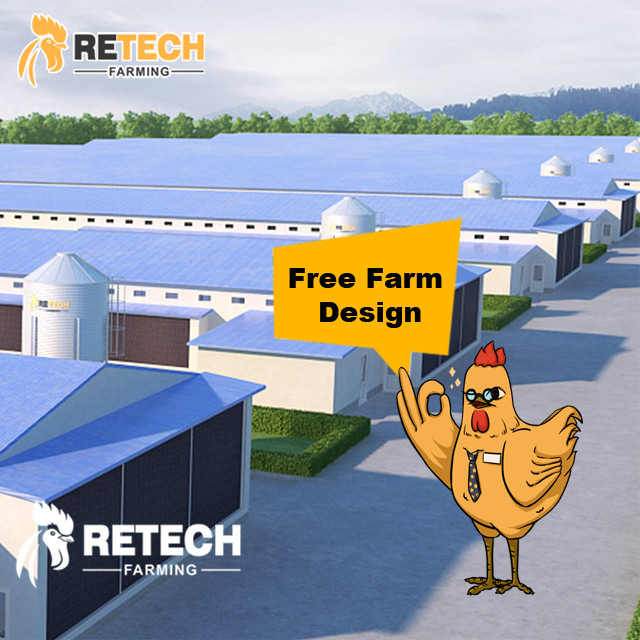 Installation of lighting equipment in chicken farms！