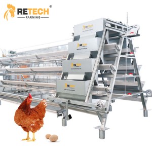 กรงไก่ไข่อัตโนมัติ RETECH ประเภท A ฟาร์มไก่ไข่
