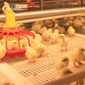 Automatic Broiler Chicken Farm Battery Cage Poultry Farming Equipment for sale