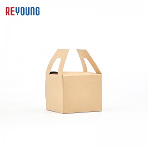 Karton csomagolódobozok – Egyedi luxusnyomtatott kis ajándékpapír doboz élelmiszer-bemutatóhoz – REYOUNG