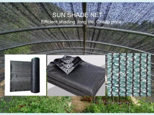 Superlaveste pris Kina HDPE utendørs hageskyggenett