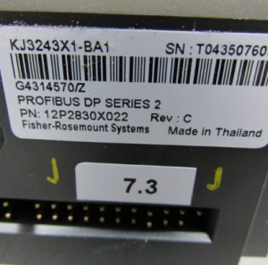 Emerson KJ3243X1-BA1 12P2830X022 PROFIBUS DP-KAART