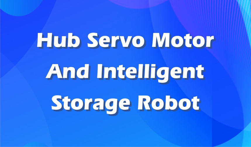 Hub servo motor and intelligent storage robot