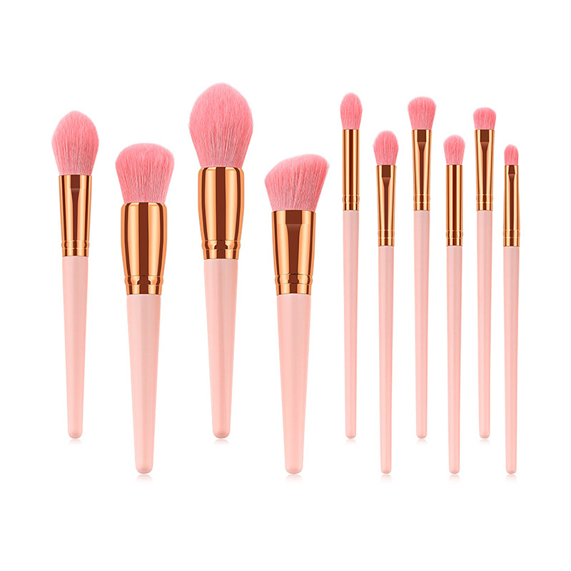 Pink Color High Quality 10pcs Taper Makeup Brush Set