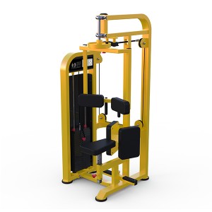 Professional Design Commercial Sport  Fitness Equipment Heavy Duty Gym Equipment Rotary Torso Trainer