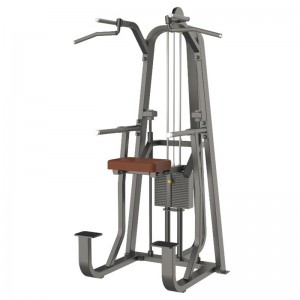 Best Gym Machine In China Commercial Pin Loaded Selection Dip/Chin Assisted Chin Pull Up Machine For Body Building