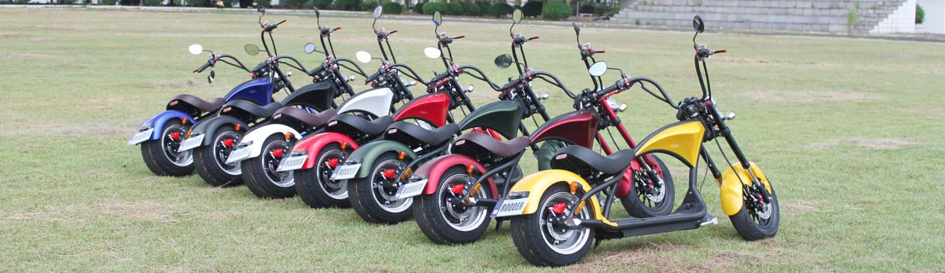 Rooder super m1 citycoco scooter